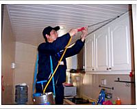 ���ĺ�����������ω������������룩